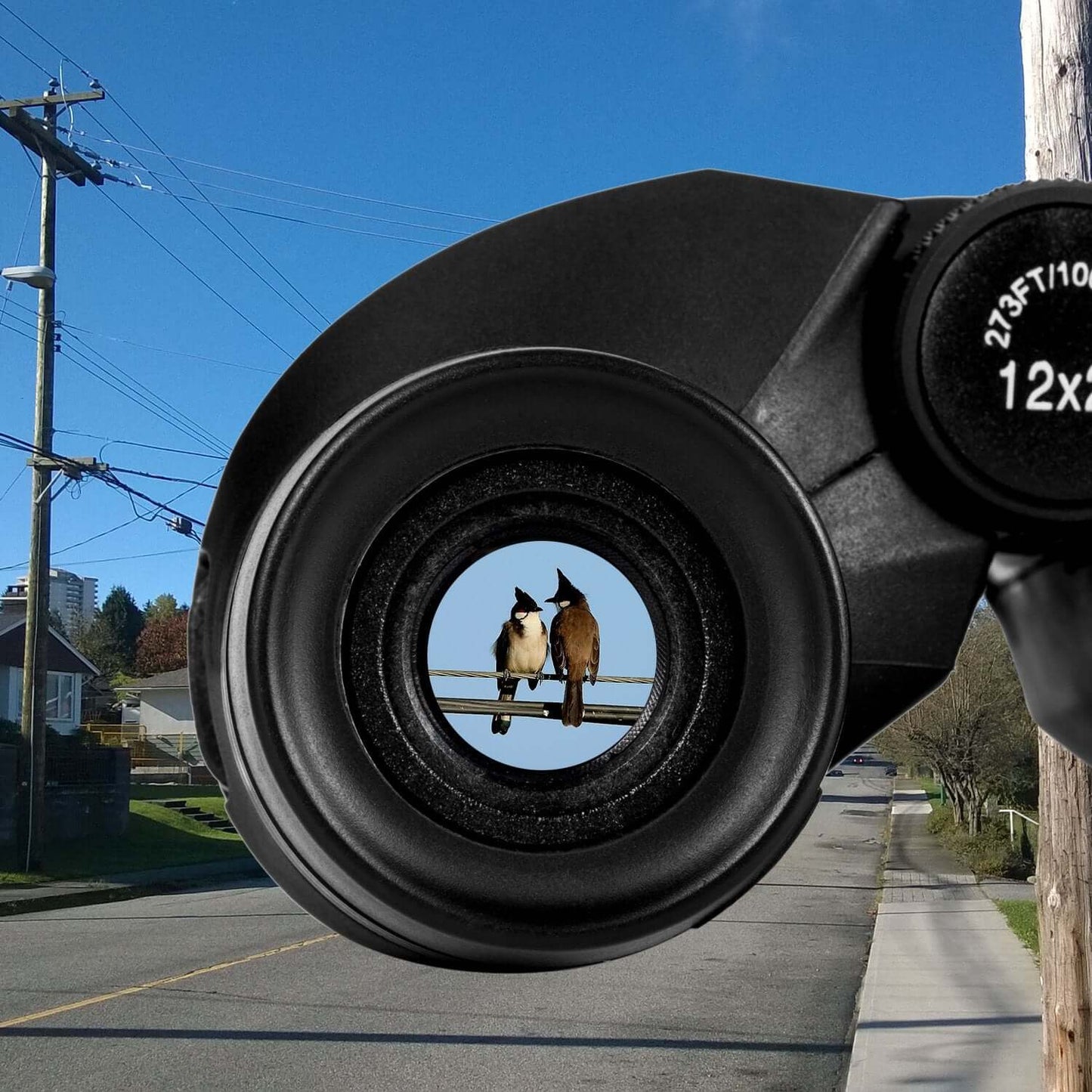 Compact Binoculars with Low Light Night Vision