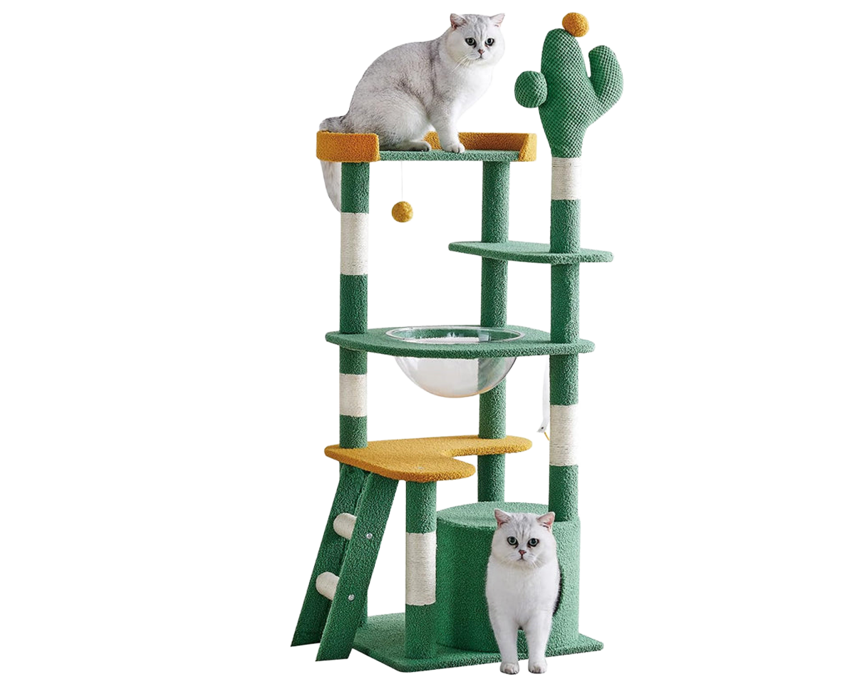 Cat Tree House 144cm Cat Tree House Tower Scratcher Cactus Design