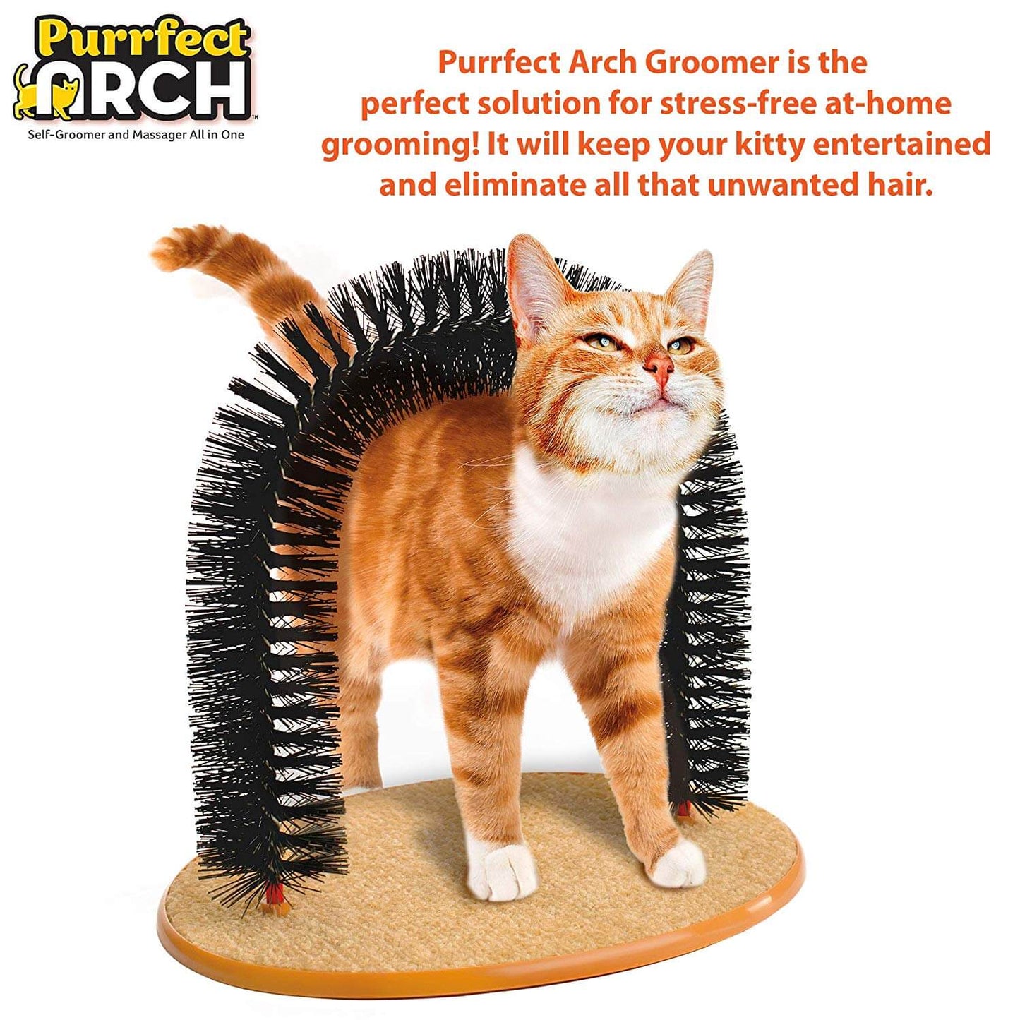 Cat Scratching Toy