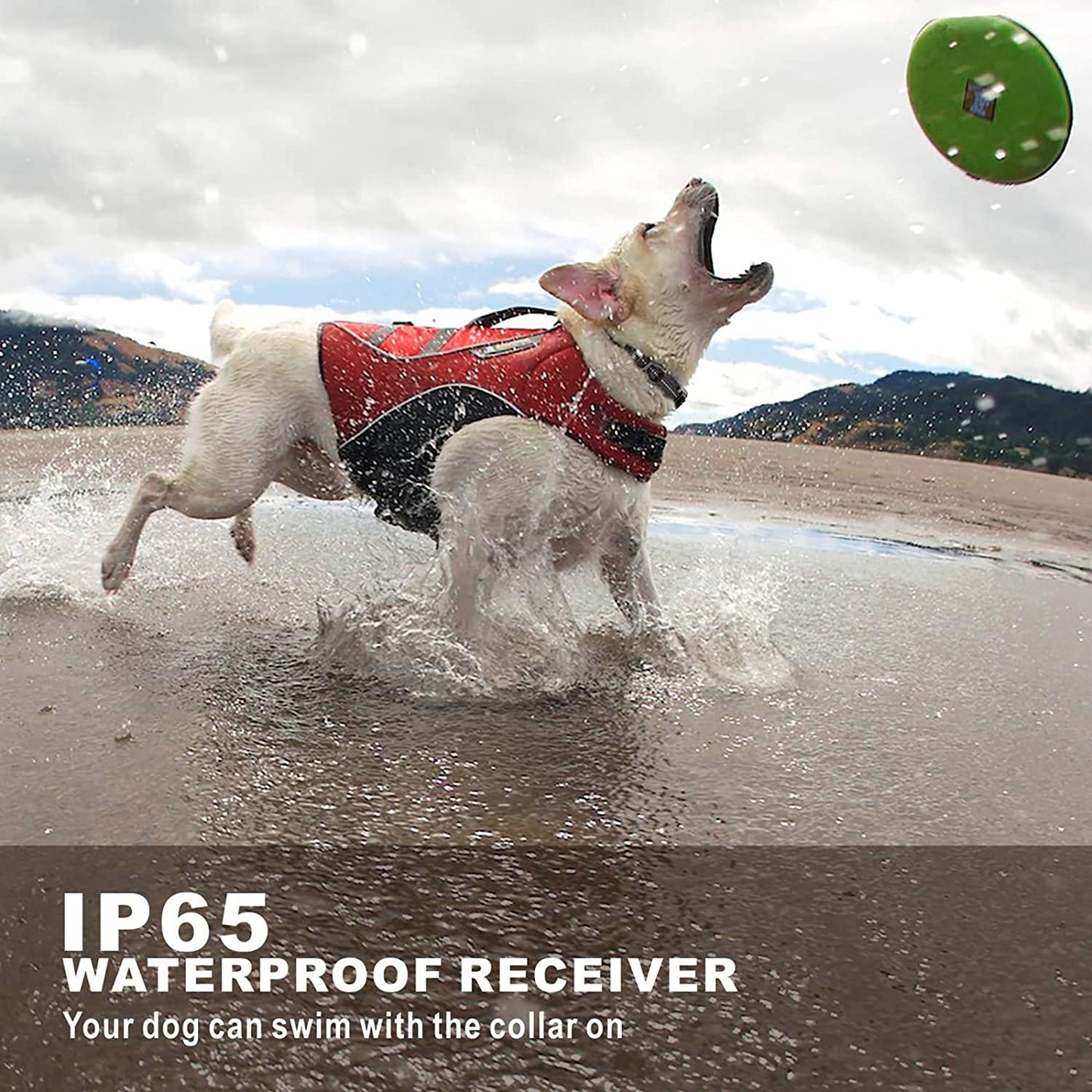 Dog Training Collar with Remote – 2600ft Range, Waterproof, LED Light, and Multiple Training Modes