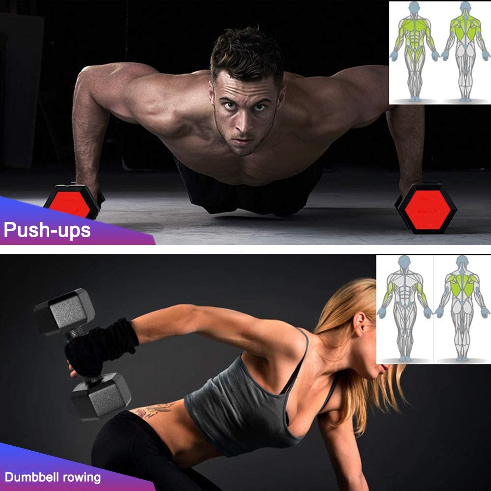 20KG Commercial Rubber Hex Dumbbell Gym Weight