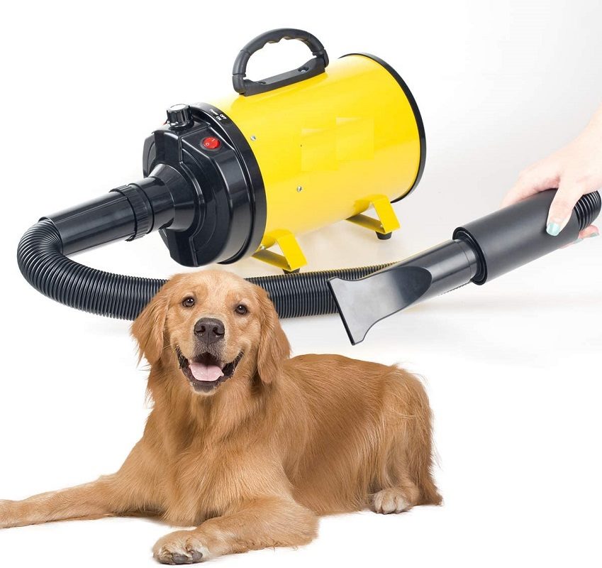 Pet Hair Dryer High Velocity Pet Hair Dryer for Dogs & Cats