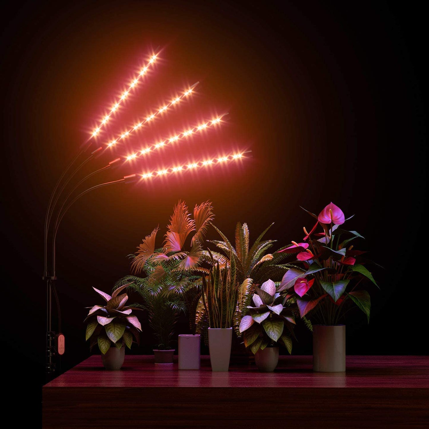 LED Grow Light with Timer For Plants