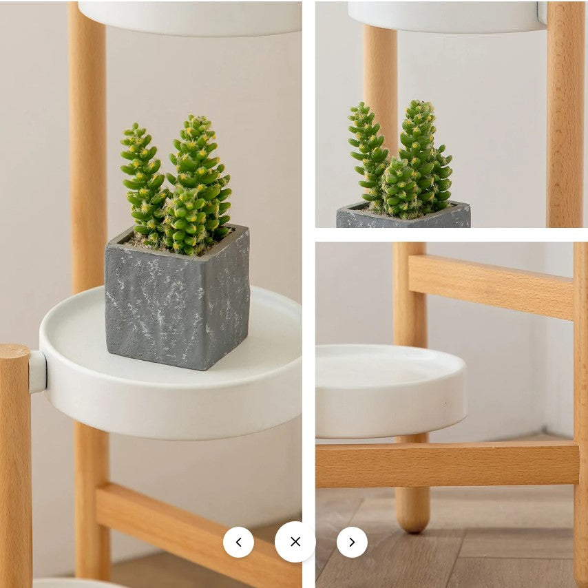 Patillo Flower Shelf – Nordic Beechwood Plant Stand for Home & Garden Decoration