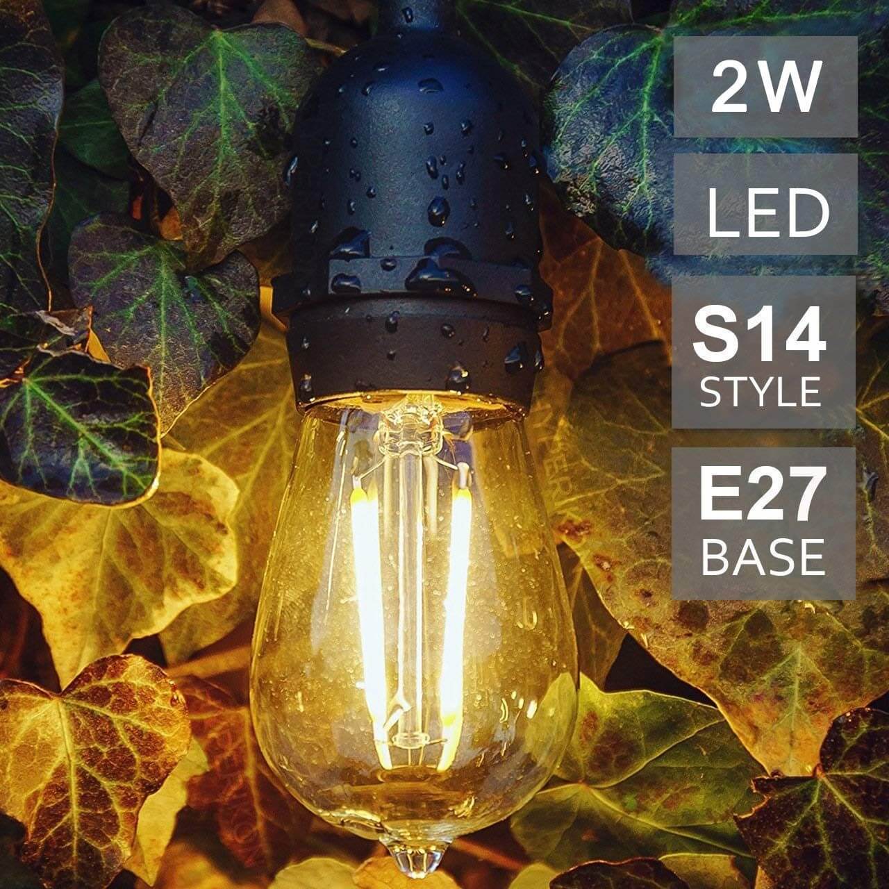 Festoon Lights 10m