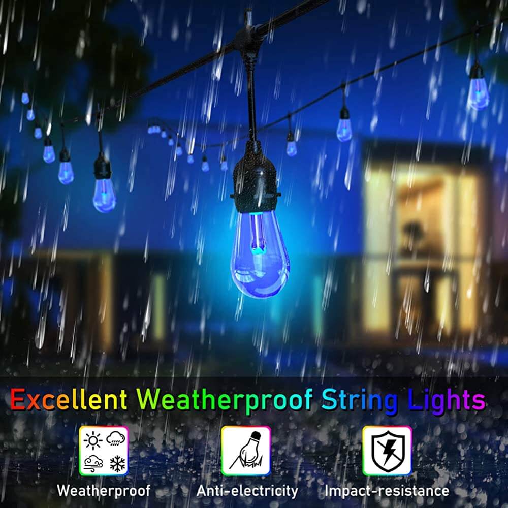 Festoon Lights With Remote
