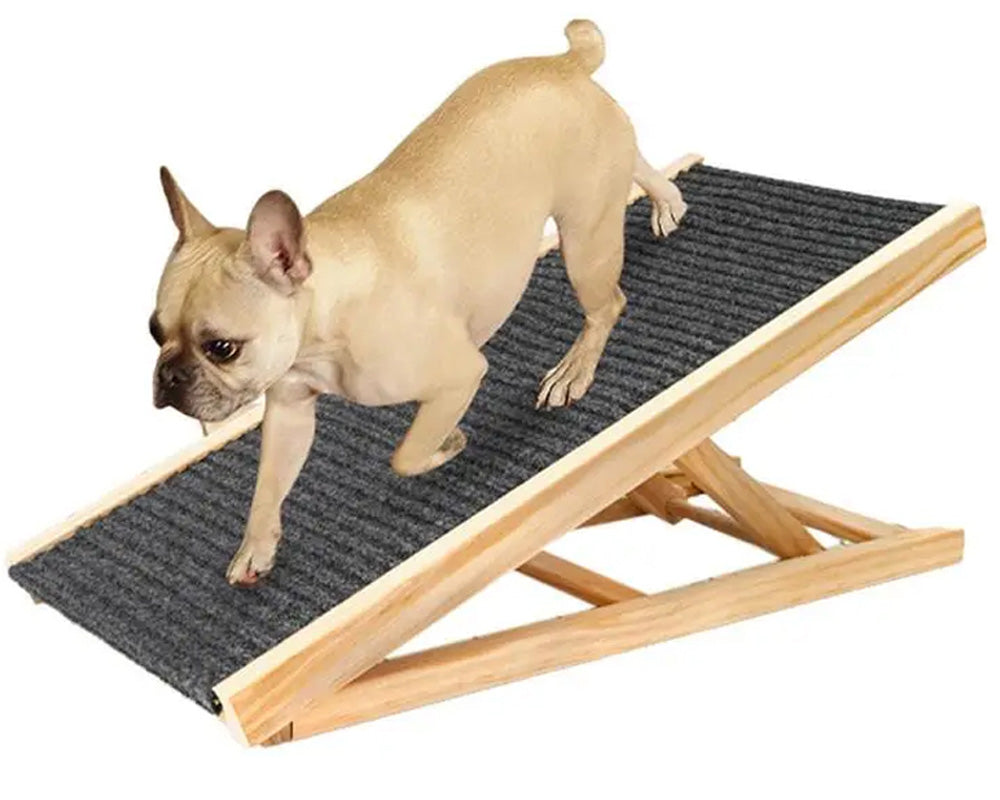 Detachable Cat Scratcher Board - Dual-Function Lounge Bed and Scratching Pad for Cats