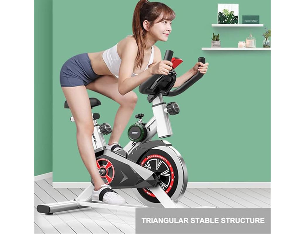 Magnetic Resistance Exercise Bike with LCD Monitor