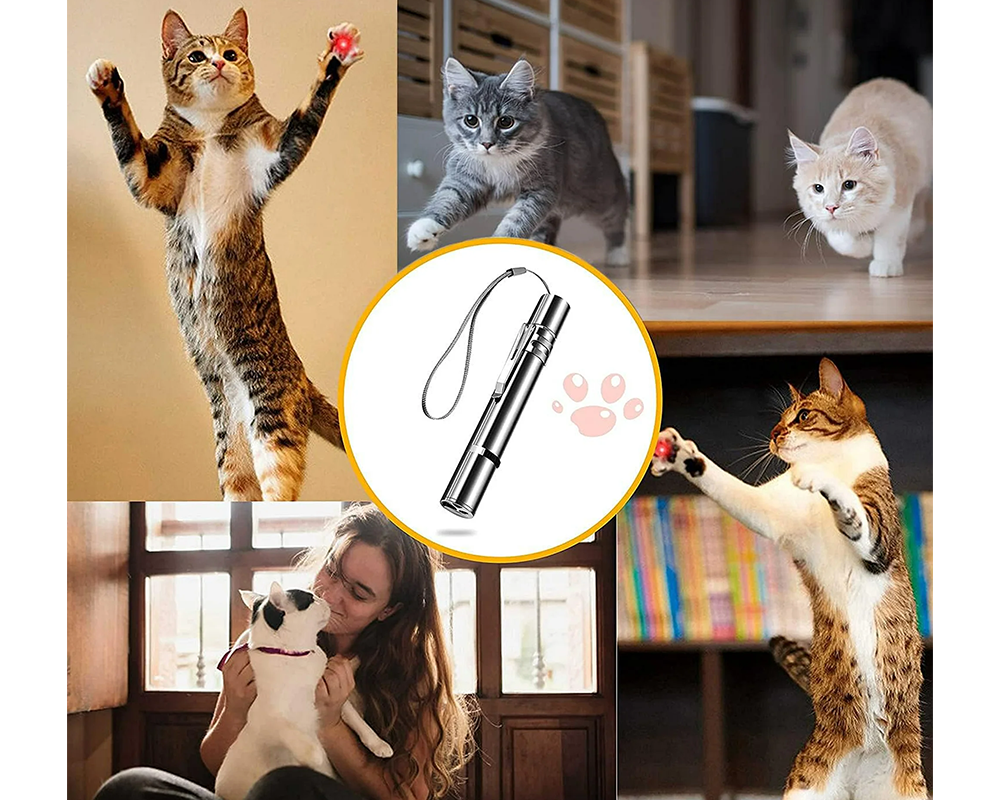 Cat Toy UV Torch Pen – Rechargeable Laser Cat Toy for Pet Training