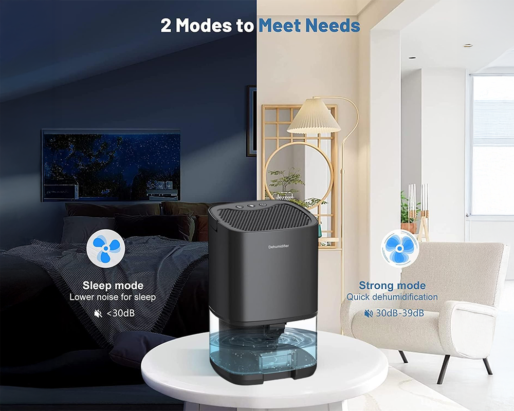 Dehumidifier Portable