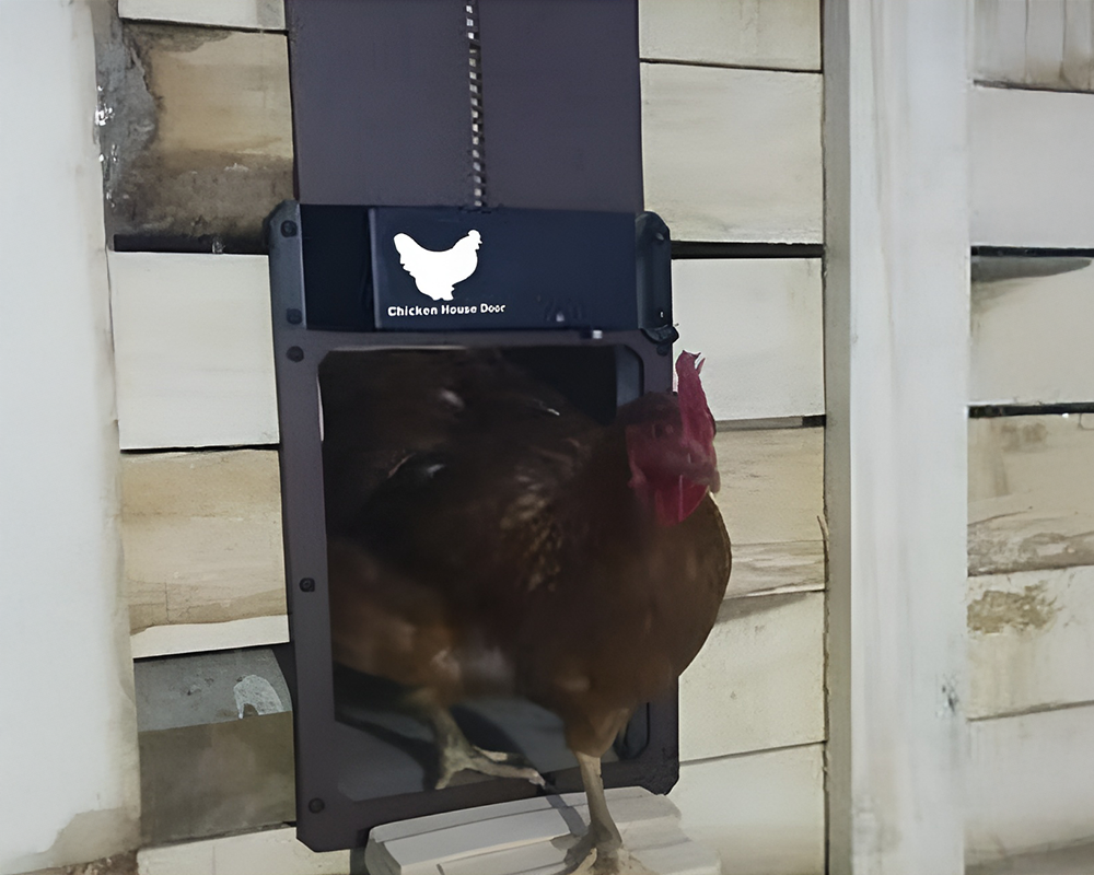 Light Sensing Auto Chicken Door Opener for Poultry Protection