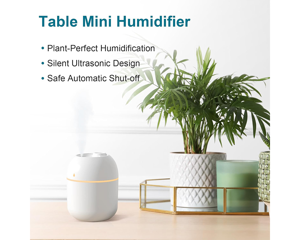 USB Mini Humidifier – 220ml Quiet Portable Cool Mist Air Diffuser with Auto Shut-Off & Light