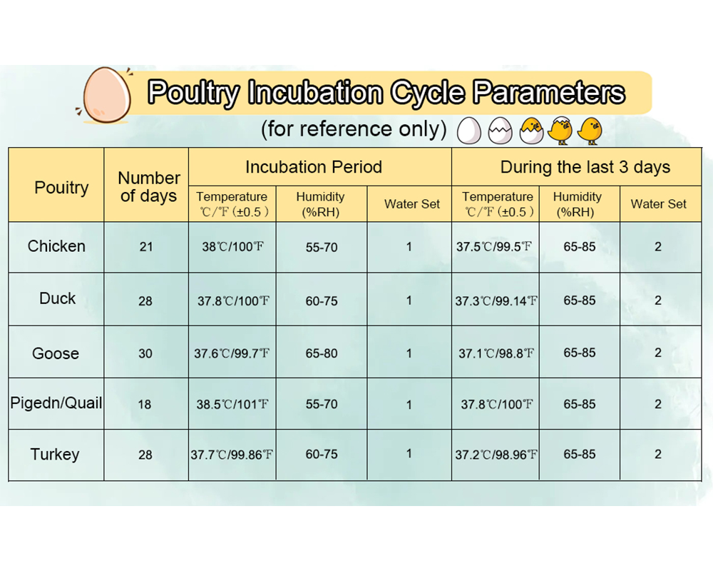 Egg Incubator Auto Turner 12 Eggs Egg Incubator with Candler & Display