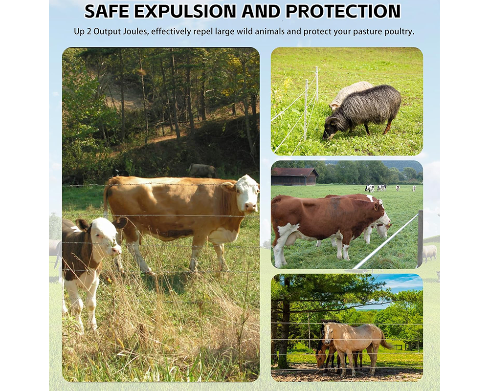 Electric Fence Energizer