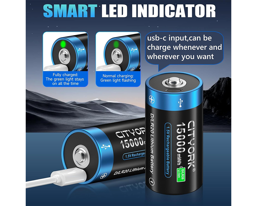 4 Pack Rechargeable D Batteries