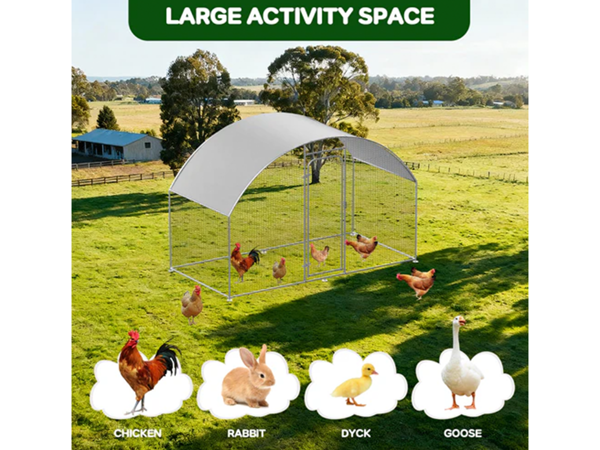 Outdoor Chicken Coop Run