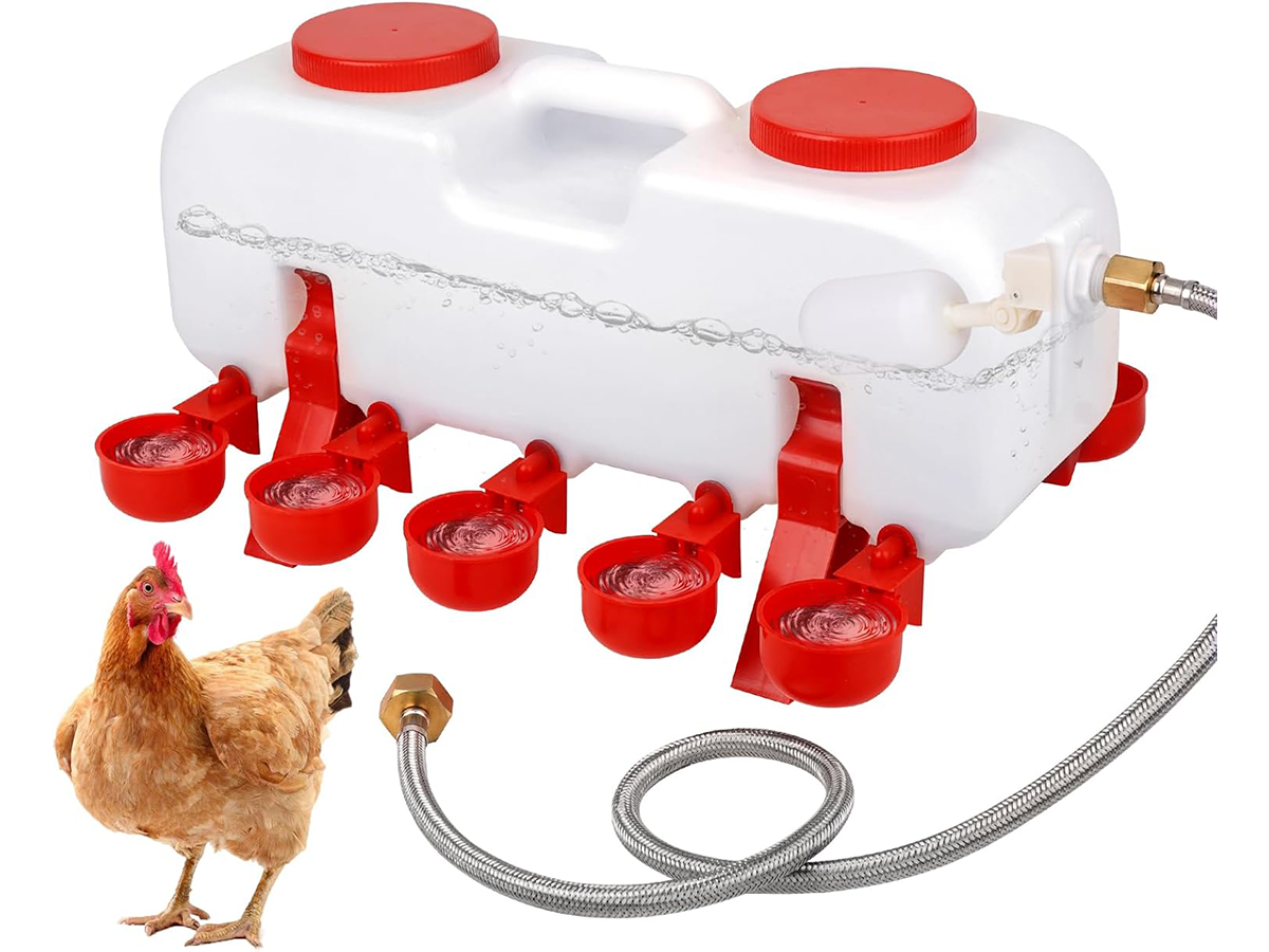 Automatic Chicken Water Feeder 11L Gallon Poultry Watering System
