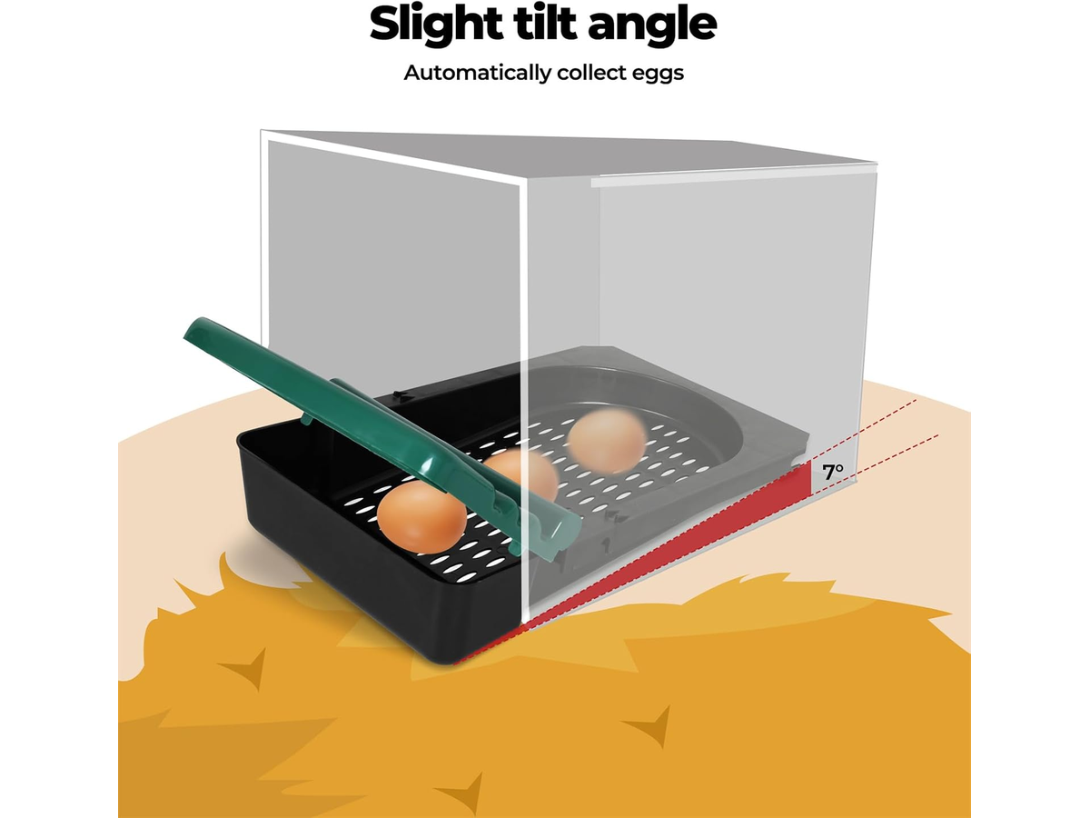 Chicken Nesting Box With 6 nests