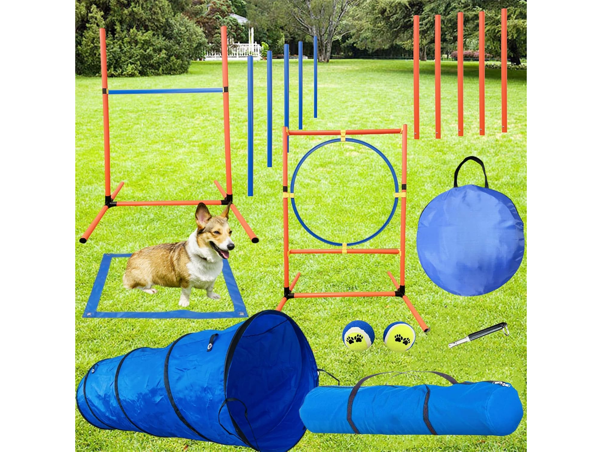 Dog Agility Training Equipment Set Backyard Obstacle Course with Tunnel