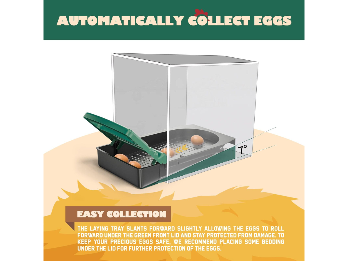 Chicken Nesting Box 2 Tier 6 Hole Roll Away Hen Laying Box with Perches Ventilation