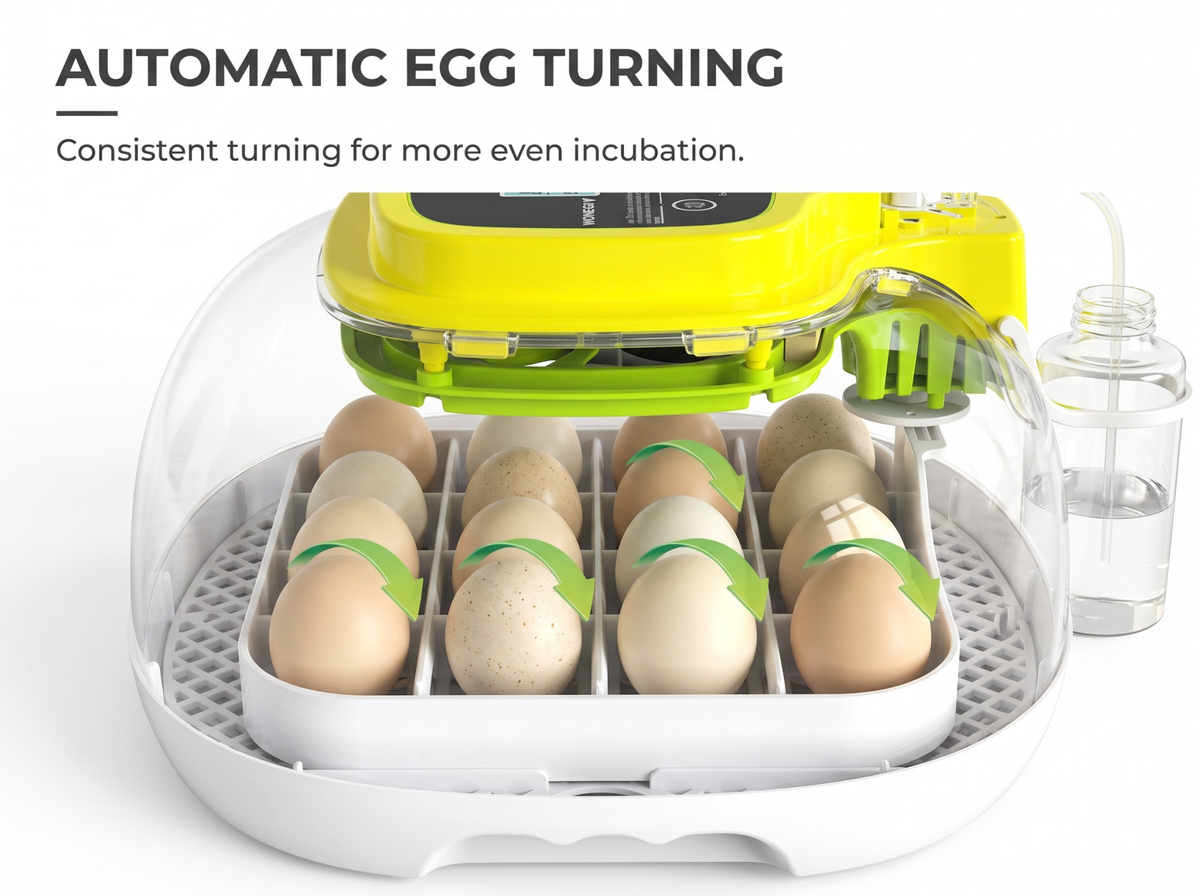 Automatic Egg Incubator 16 Eggs with Auto Turning Temperature Humidity Control LED Candler