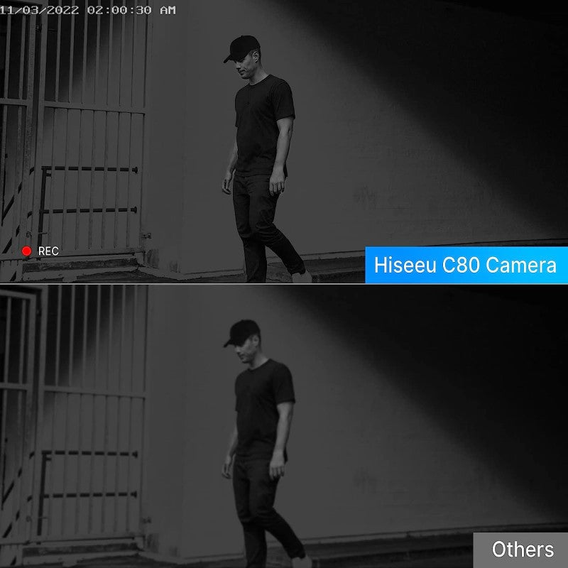 Security camera system