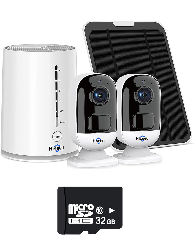 Security camera system