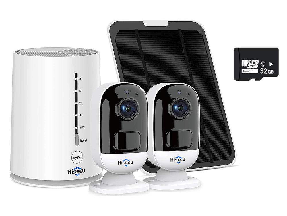 Security camera system