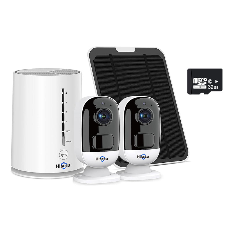 Security camera system