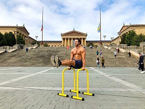 Dip Stand Parallel Bar Station