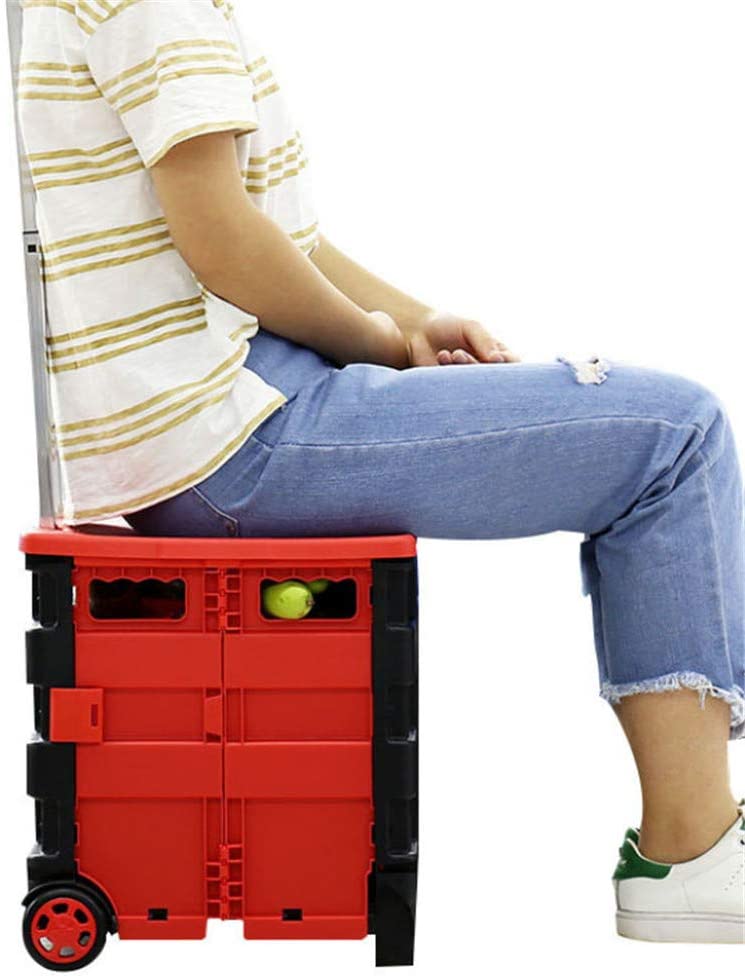 Foldable Trolley