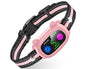 Dog Training Collar