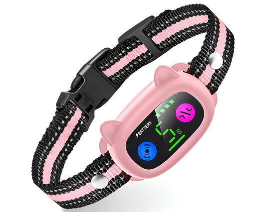 Dog Training Collar