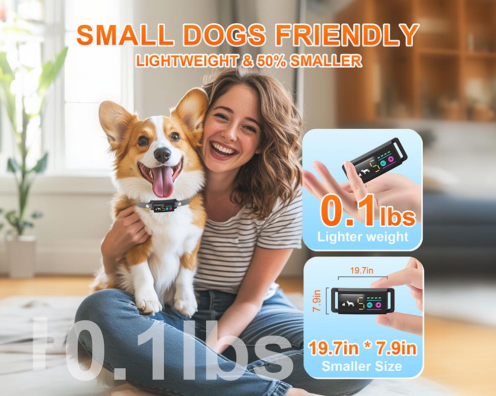 Dog Training Collar rechargeable