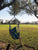 Hammock Chair Hanging Rope Swing Seat with 2 Cushions - Relax in Style