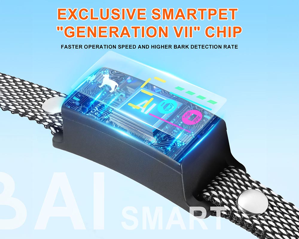 Dog Training Collar rechargeable