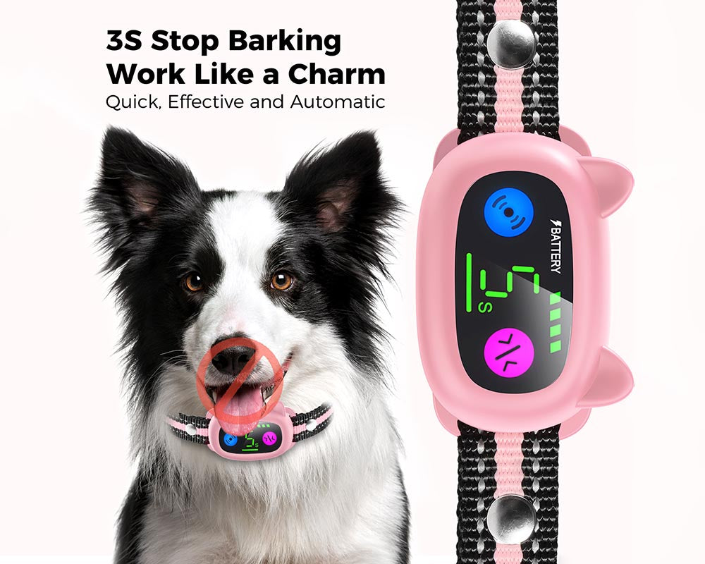 Dog Training Collar