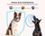 Dog Training Collar