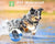 No-Bark Dog Training Collar rechargeable