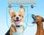 Dog Training Collar rechargeable