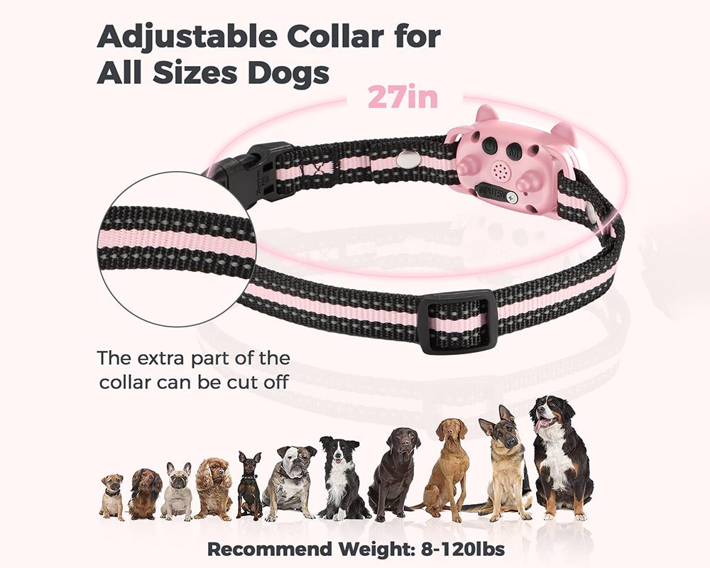 Dog Training Collar