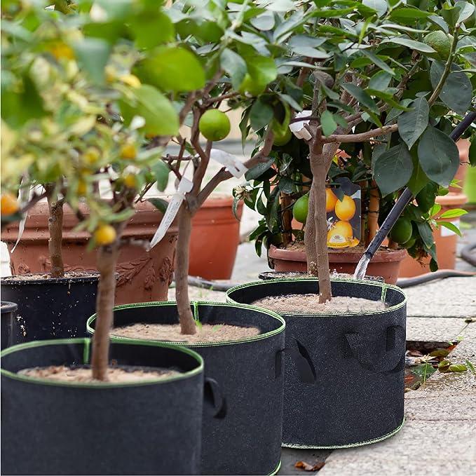 Plant Grow Bag 40x30cm 4 Pack, vegetable/Flower/Plant Growing Bags