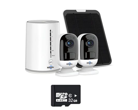 Security camera system