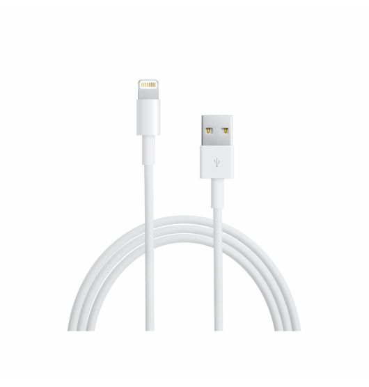 5W USB Power Adapter 1m iPhone Charging Cable