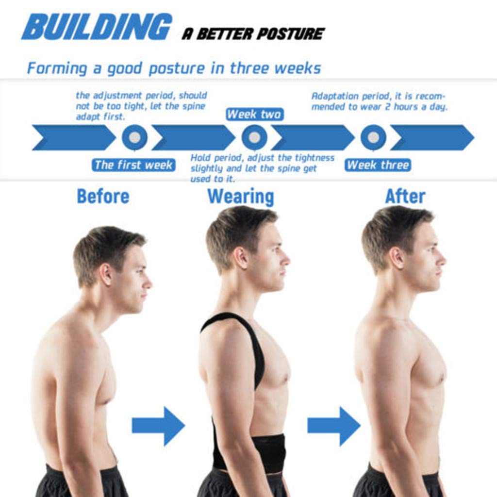 Posture Correct back support