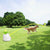 Creative Dog Pet Toys Tennis Launcher Ball Thrower