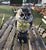 Owl Bird Scarer Garden Owl Bird Scarer with Rotating Head