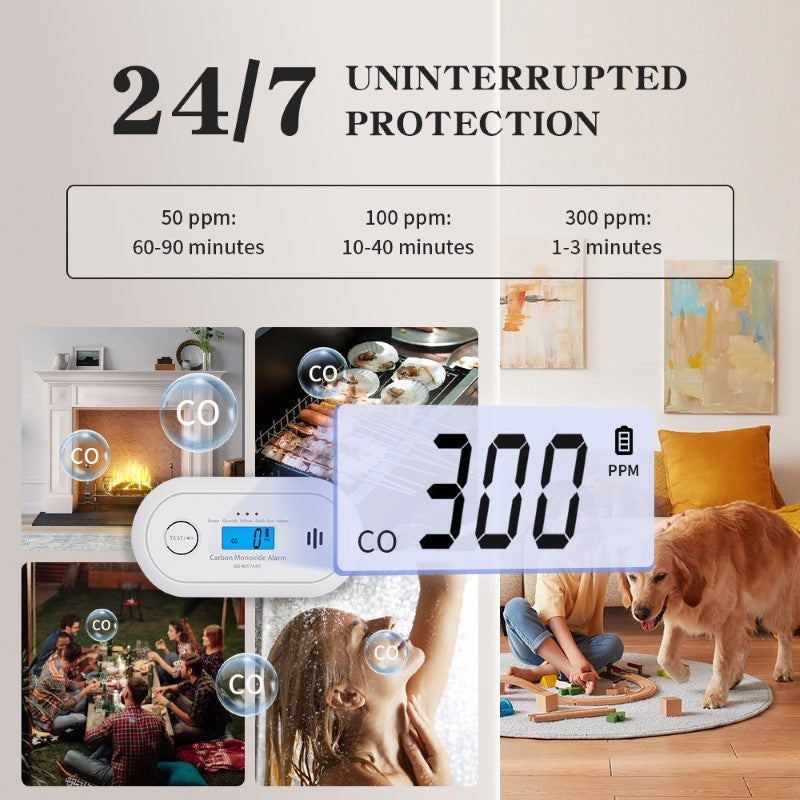 Carbon Monoxide Detector