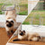 Pet Cat Dog Safe Security Flap Locking Door