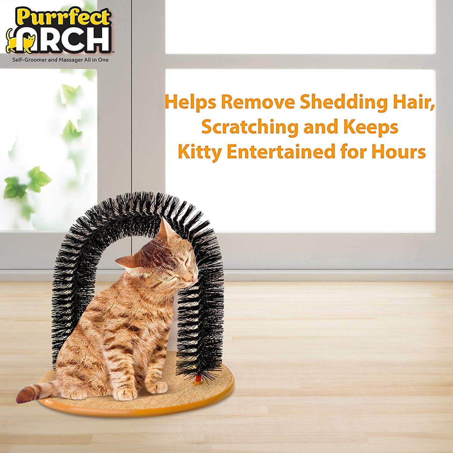 Cat Scratching Toy